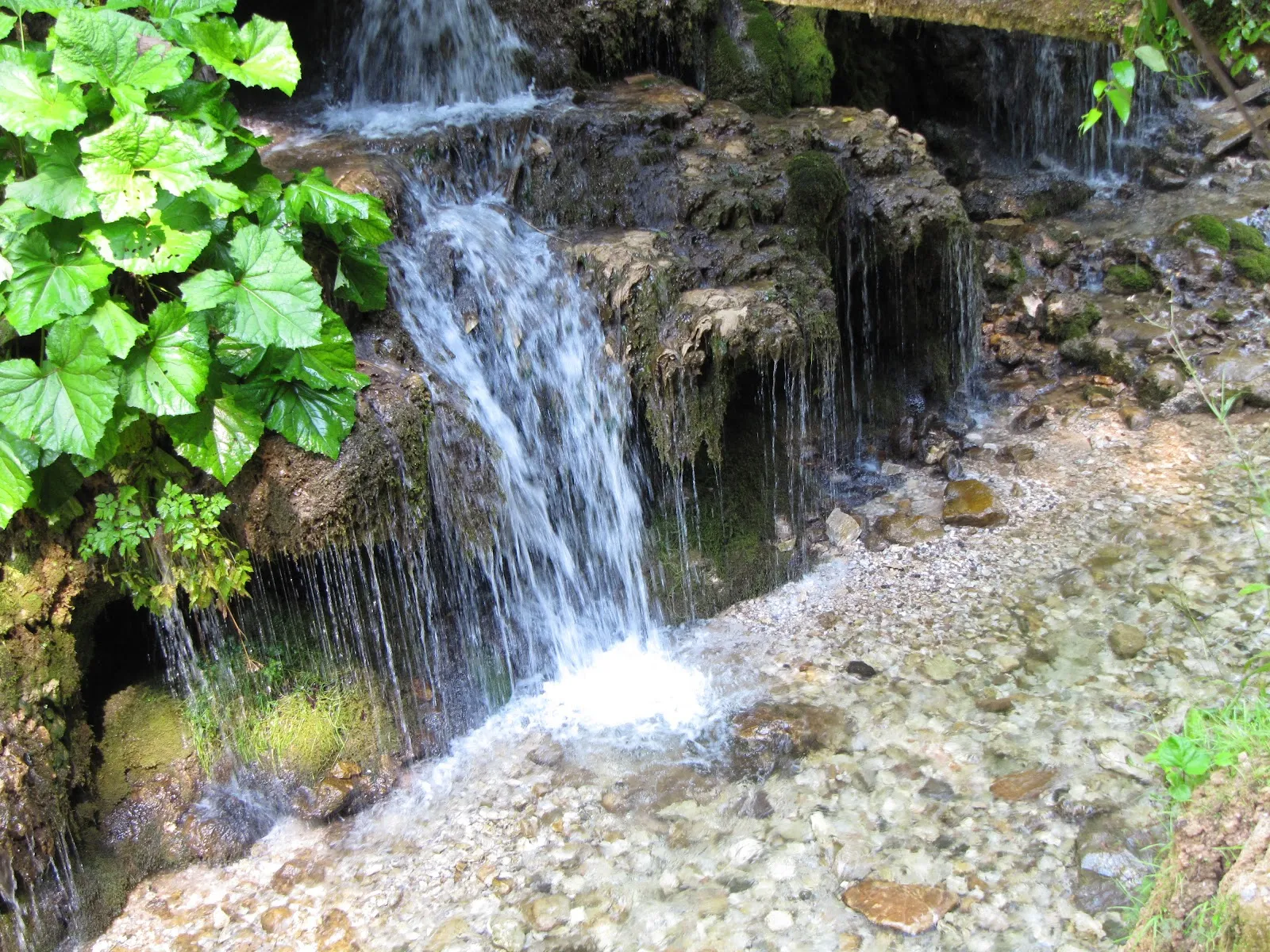 Fotografia 1