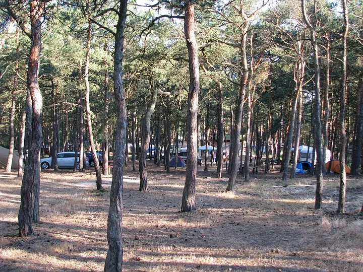 Fotografia 1