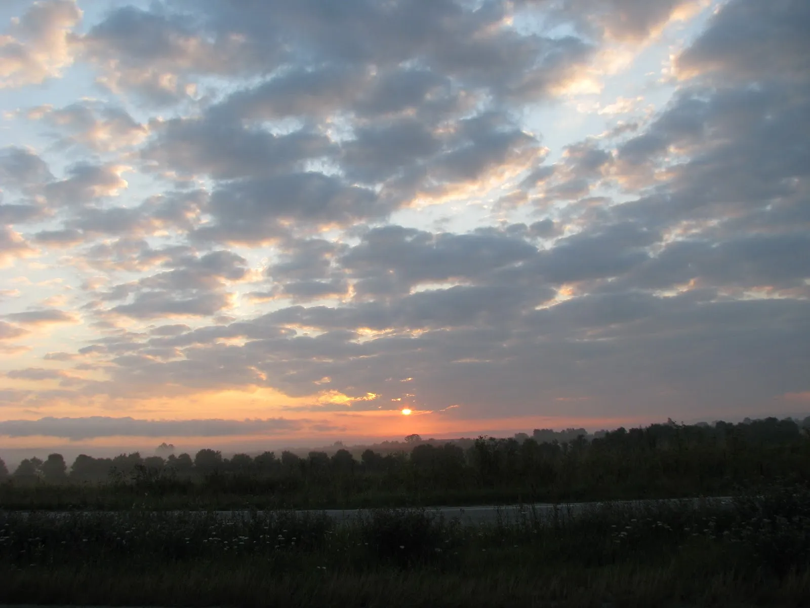 Fotografia 1