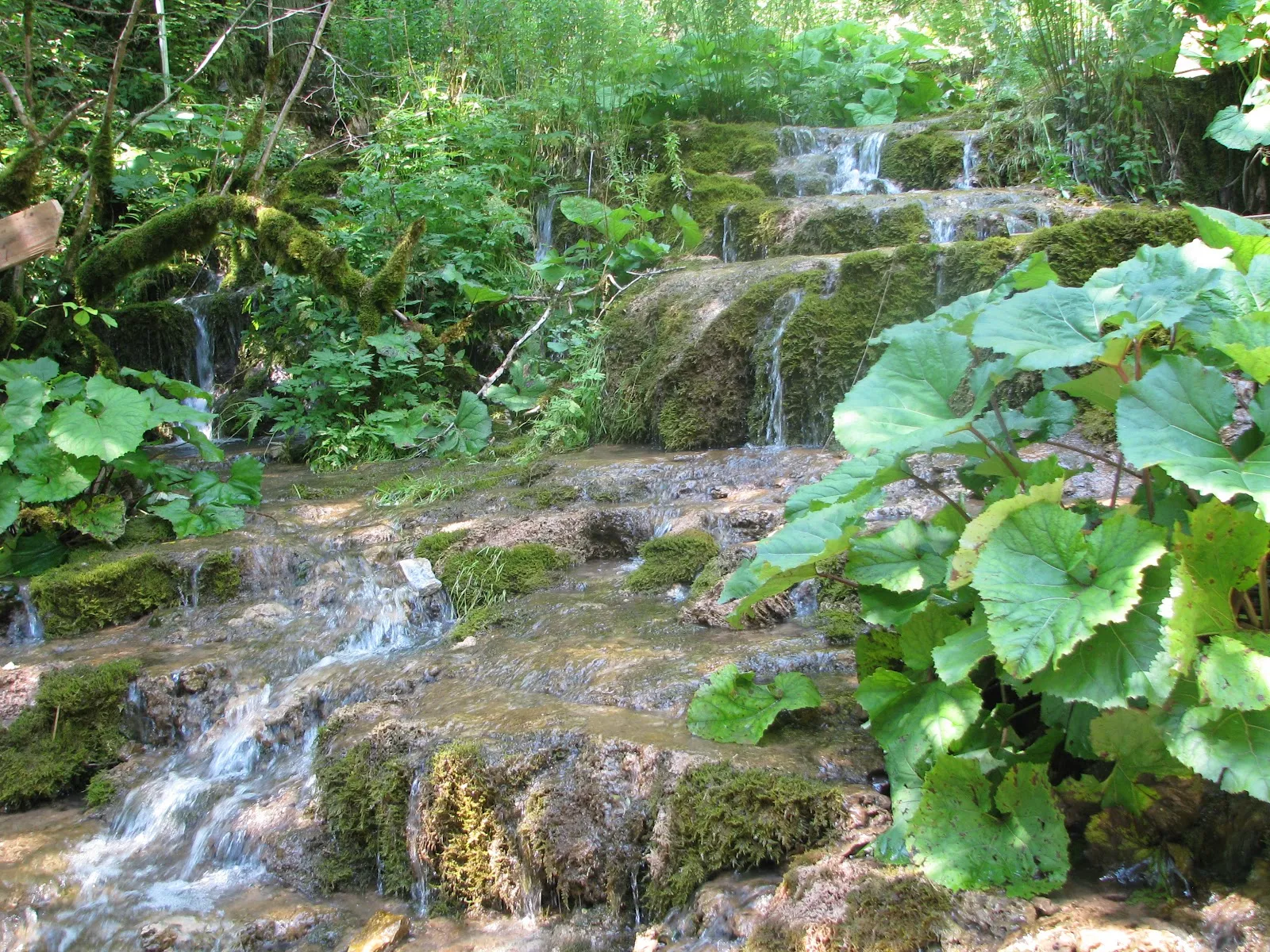 Fotografia 3
