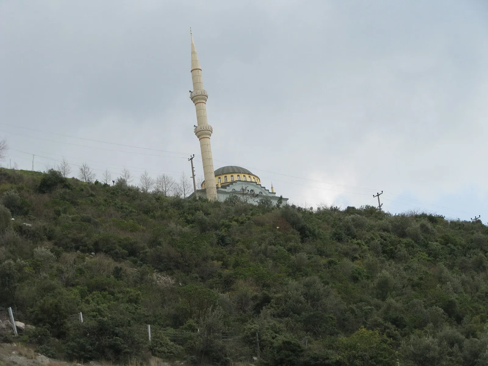 Fotografia 5