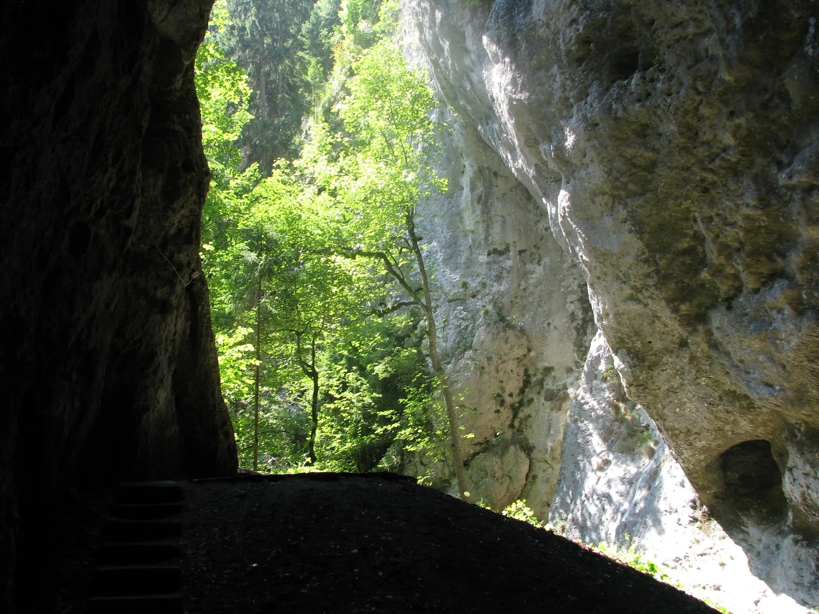 Fotografia 5