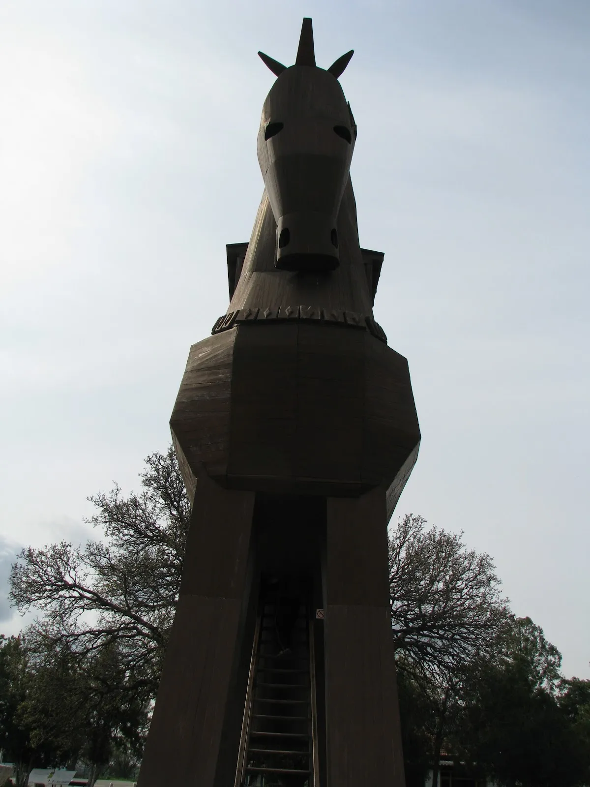 Fotografia 6