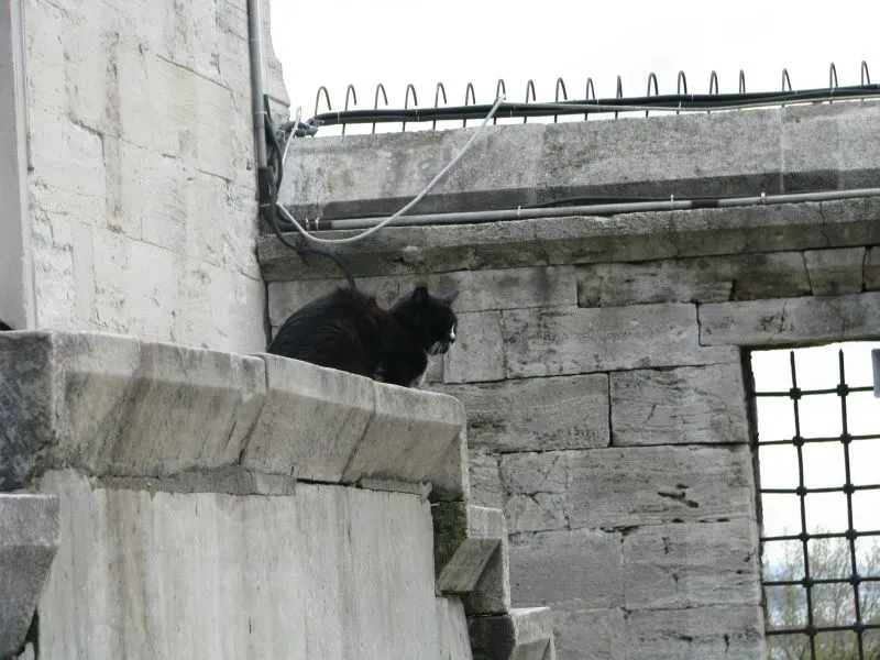 Fotografia 8