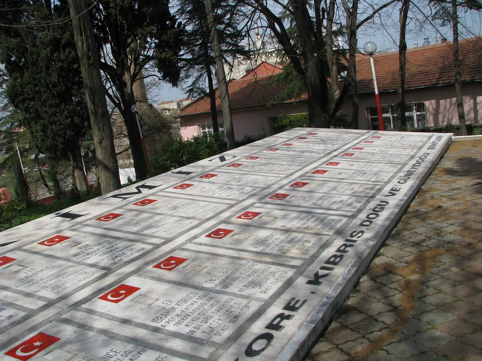 Fotografia 17
